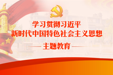 学习贯彻习近平新时代中国特色社会主义思想主题教育专题网