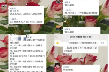 寒假拍了拍你说：“平安到家了吗？”