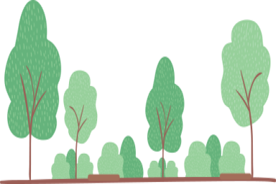 以赛促教强本领 文传学子共成长