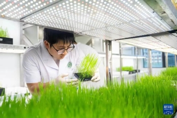 从科院本科到复旦博士，加入袁隆平团队，登上新华社封面！他跨学科逐梦科研，以青春深耕报国路