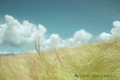 掇菁撷华｜心向暖阳，撷取微光