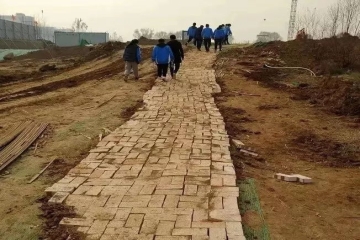 师生携手，共建大美科院