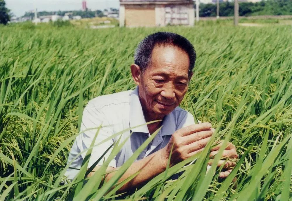 微信图片_20220106100800