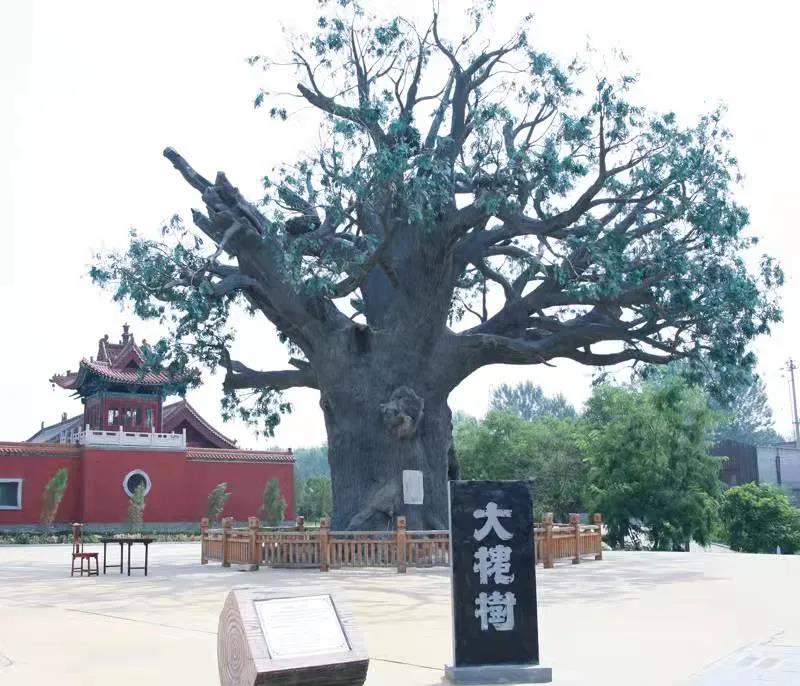 微信图片_20220114202405