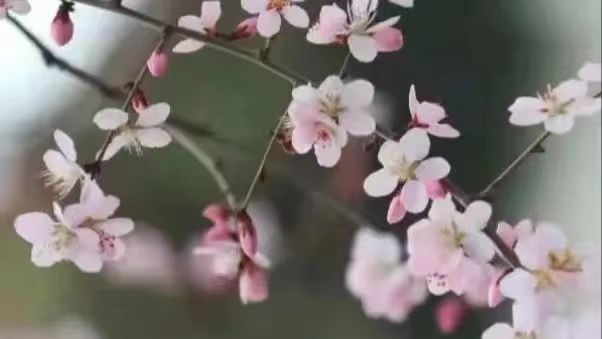 微信图片_20220506194930
