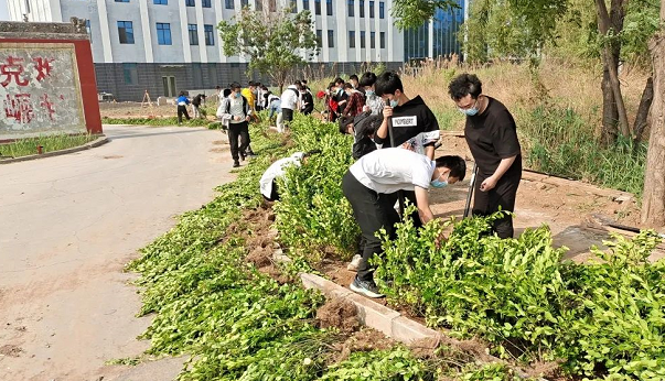 微信截图_20220512124846