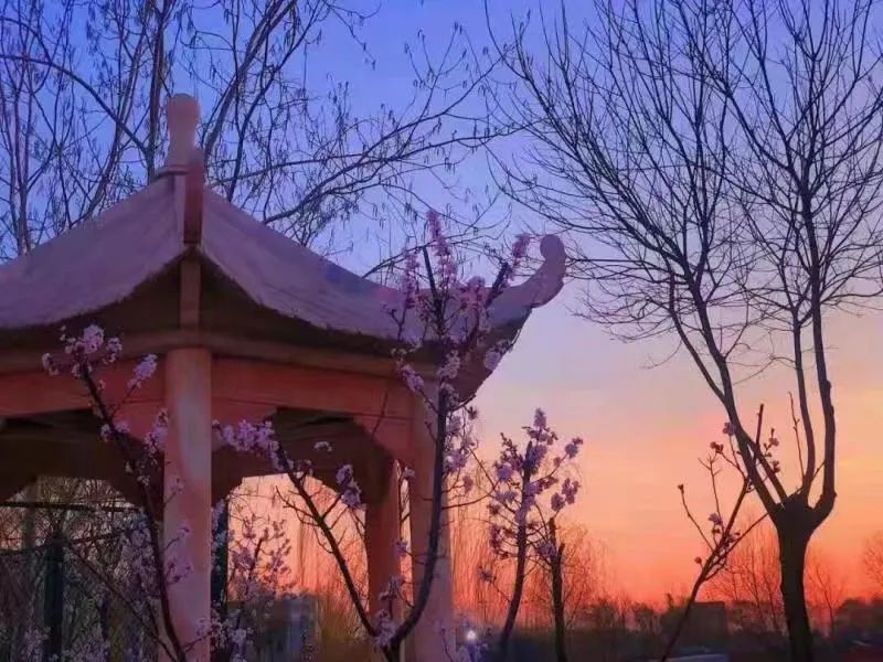 微信图片_20220516231802