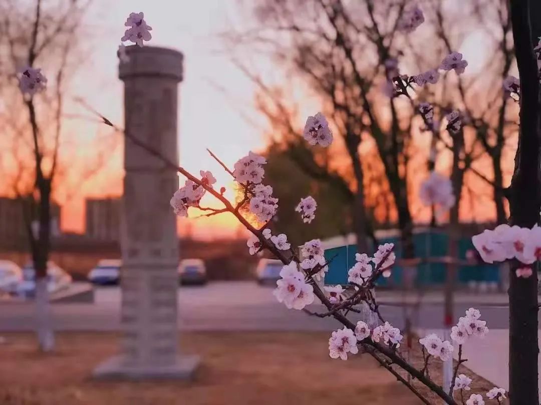 微信图片_20220517130859