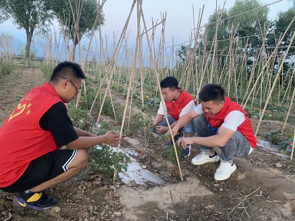 微信图片_20220726191824