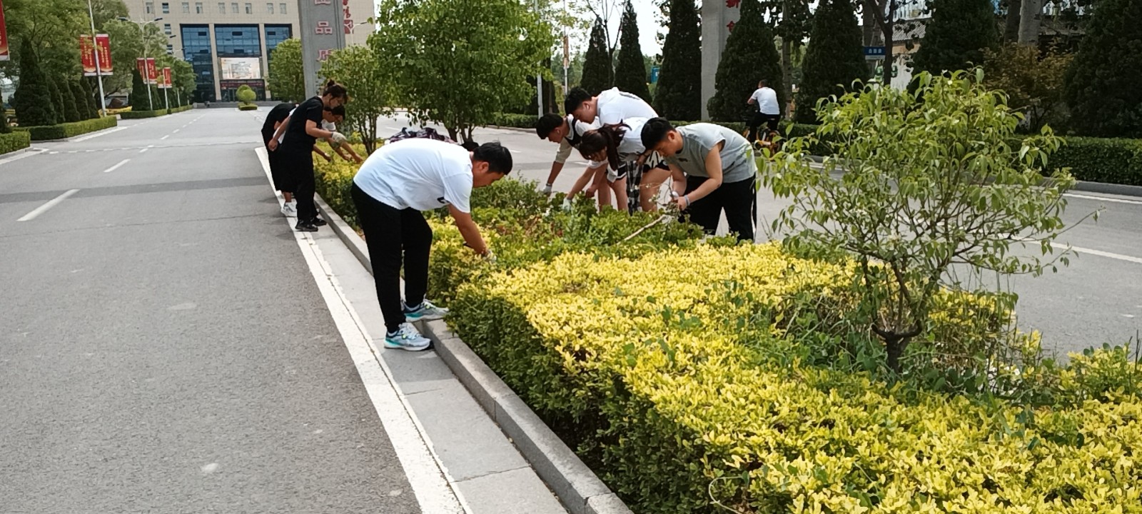 图片6