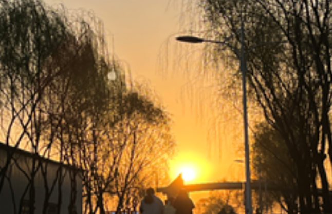 微信截图_20230406180222