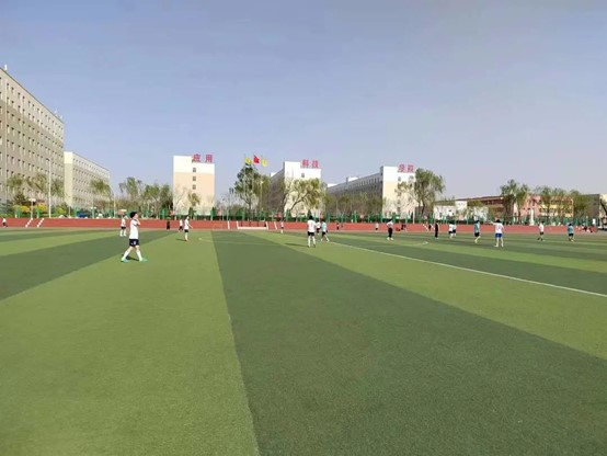 图片6