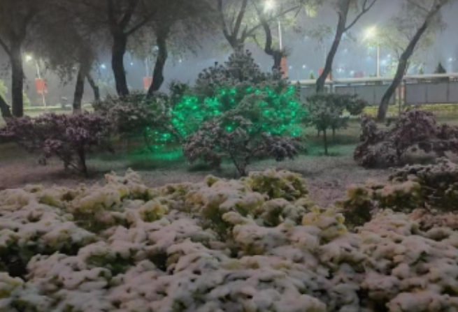 微信截图_20230427192727