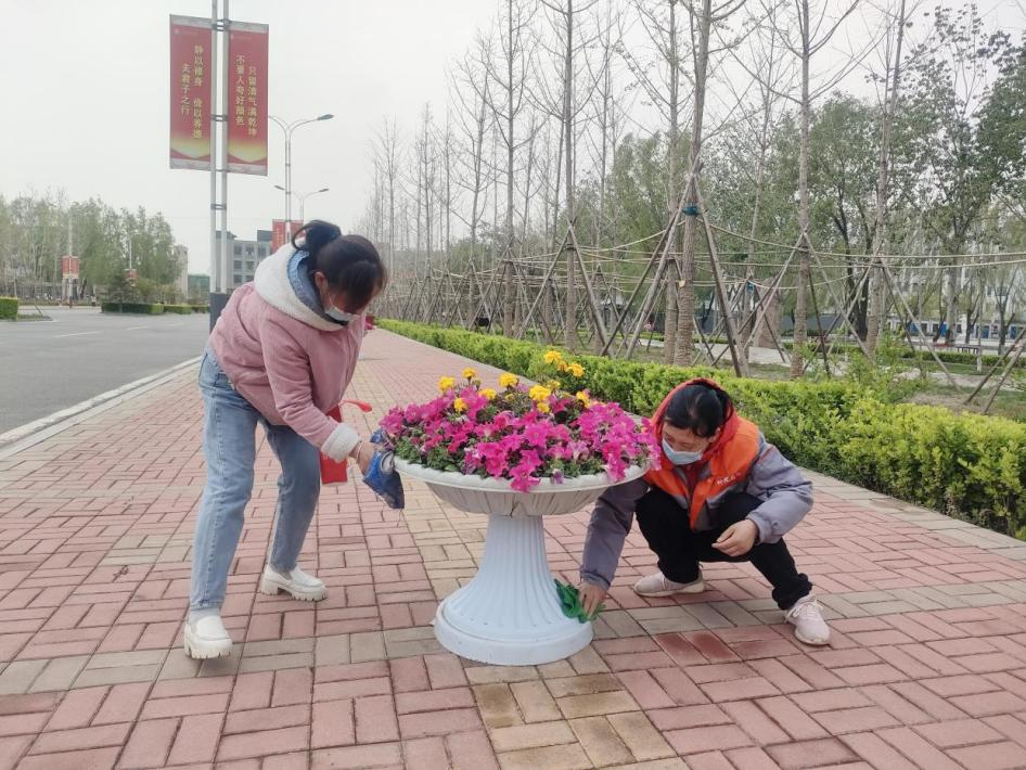 图片2