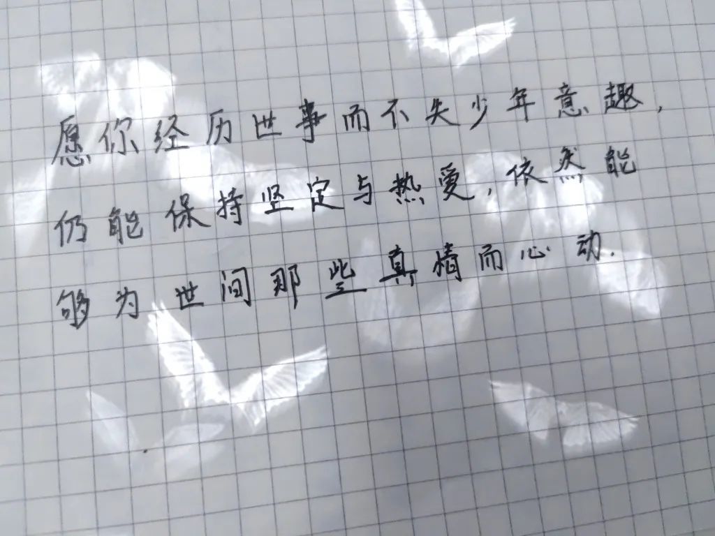 微信图片_20230611164724