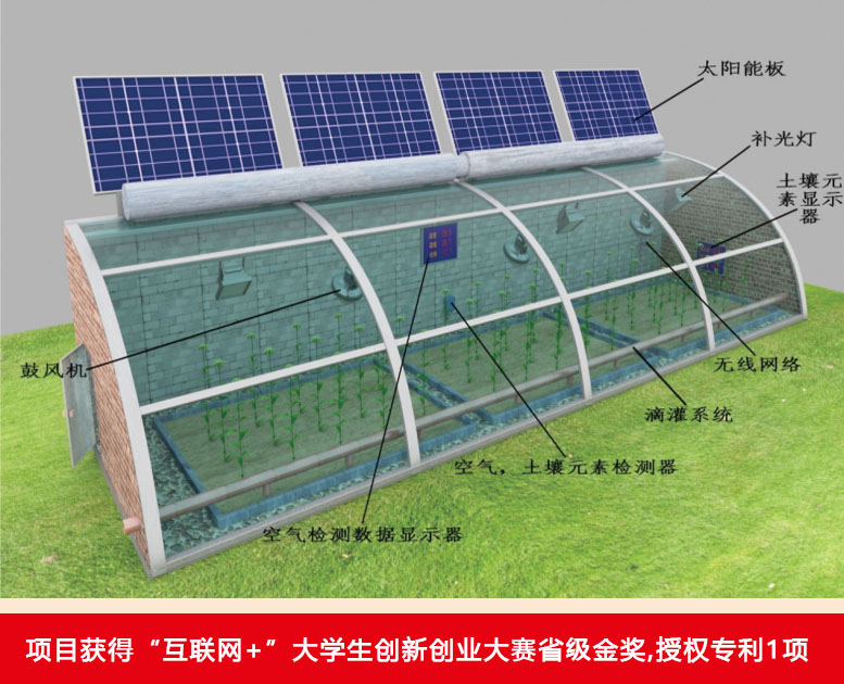 智慧温室大棚
