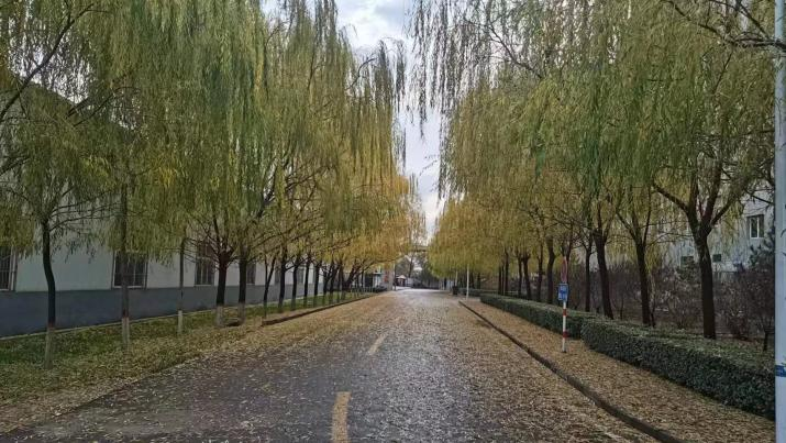 微信图片_20231103214317