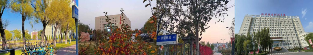 微信图片_20231103214444