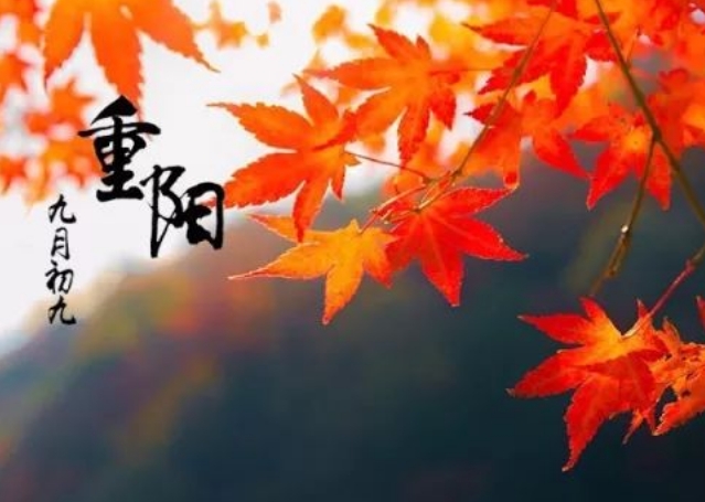 微信截图_20231106213051