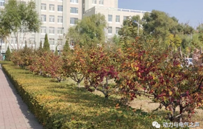 微信截图_20231107220601