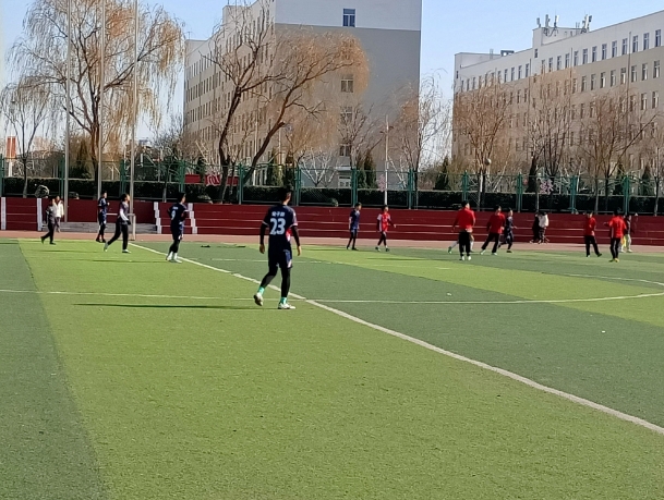微信截图_20231212184648