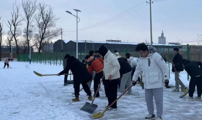 微信截图_20231223164550