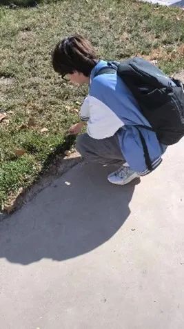微信图片_20240312163939