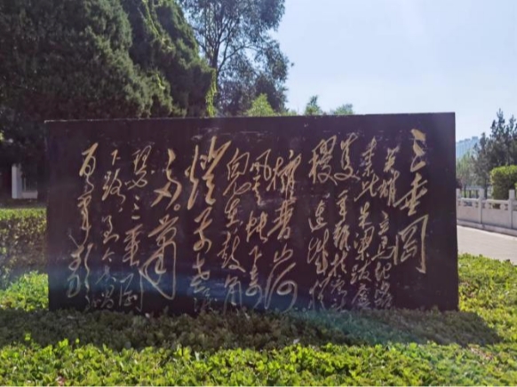 45