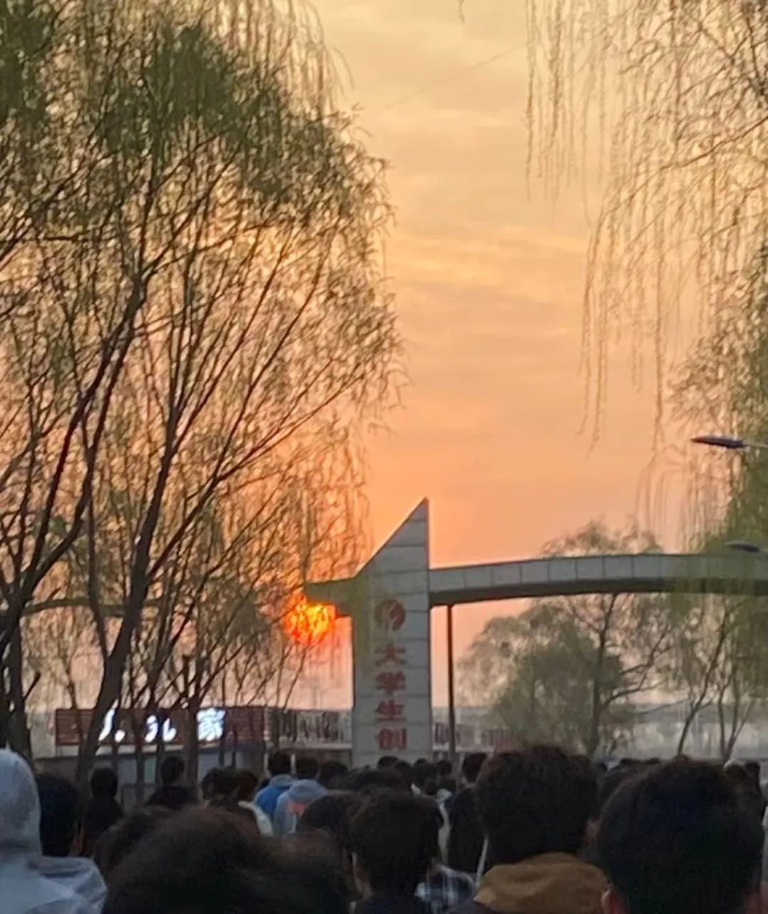 微信图片_20240508194729