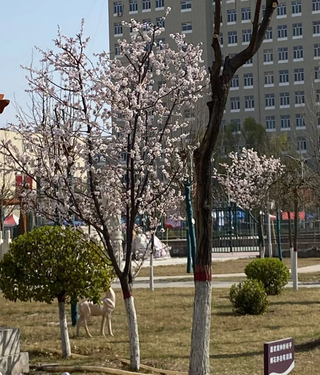 微信图片_20240508194735