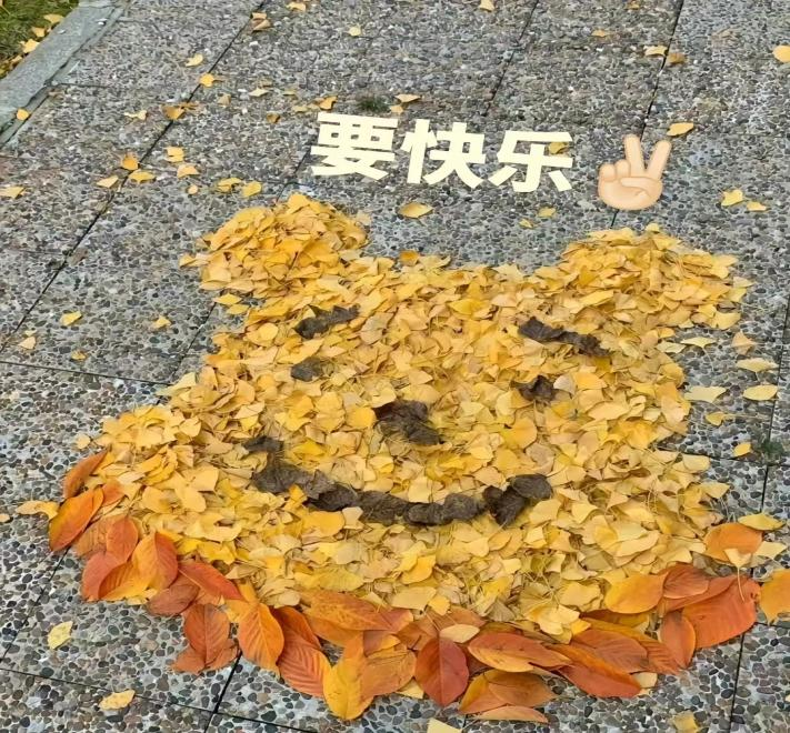 微信图片_20240508215031