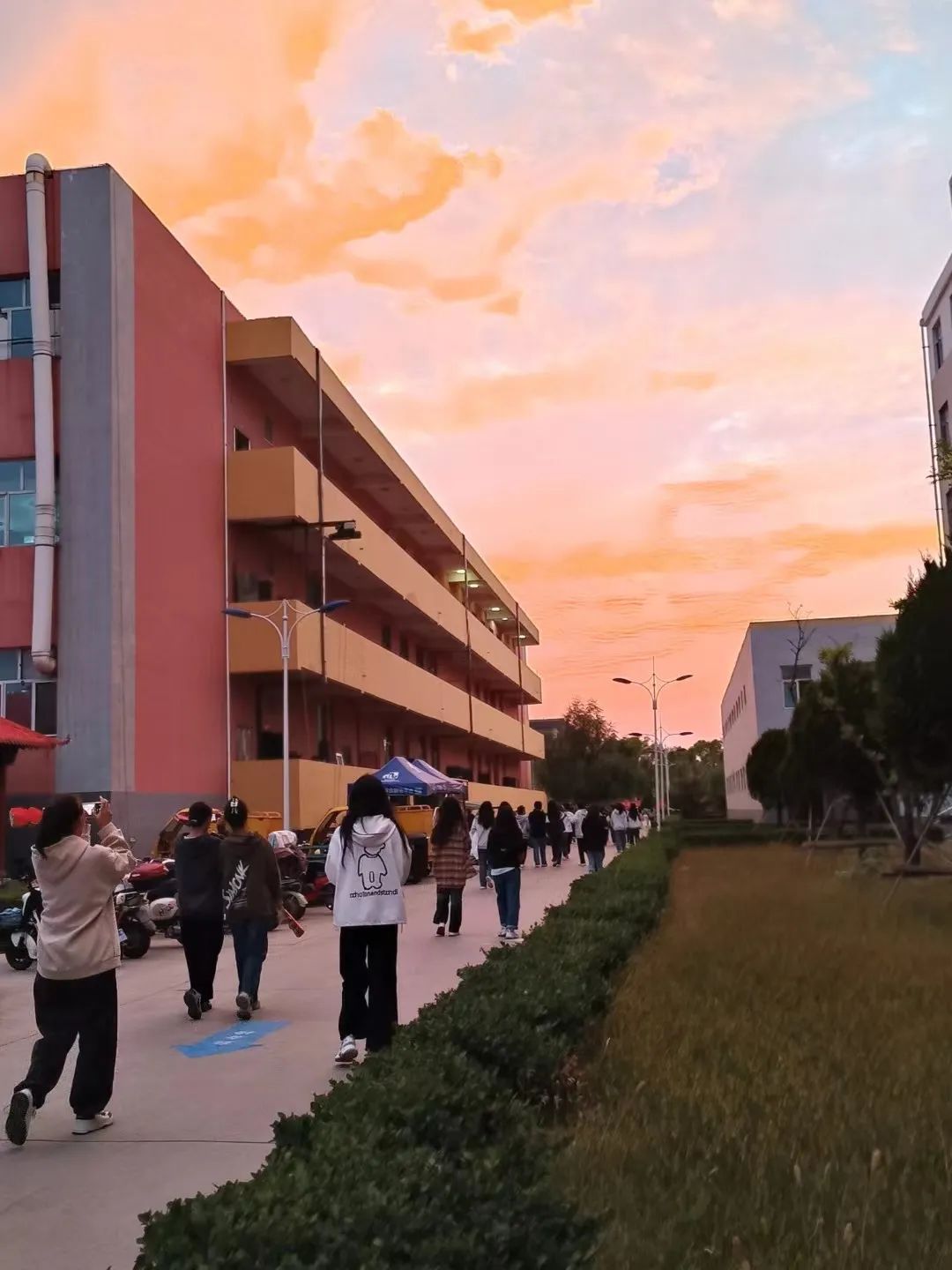 微信图片_20240512182613