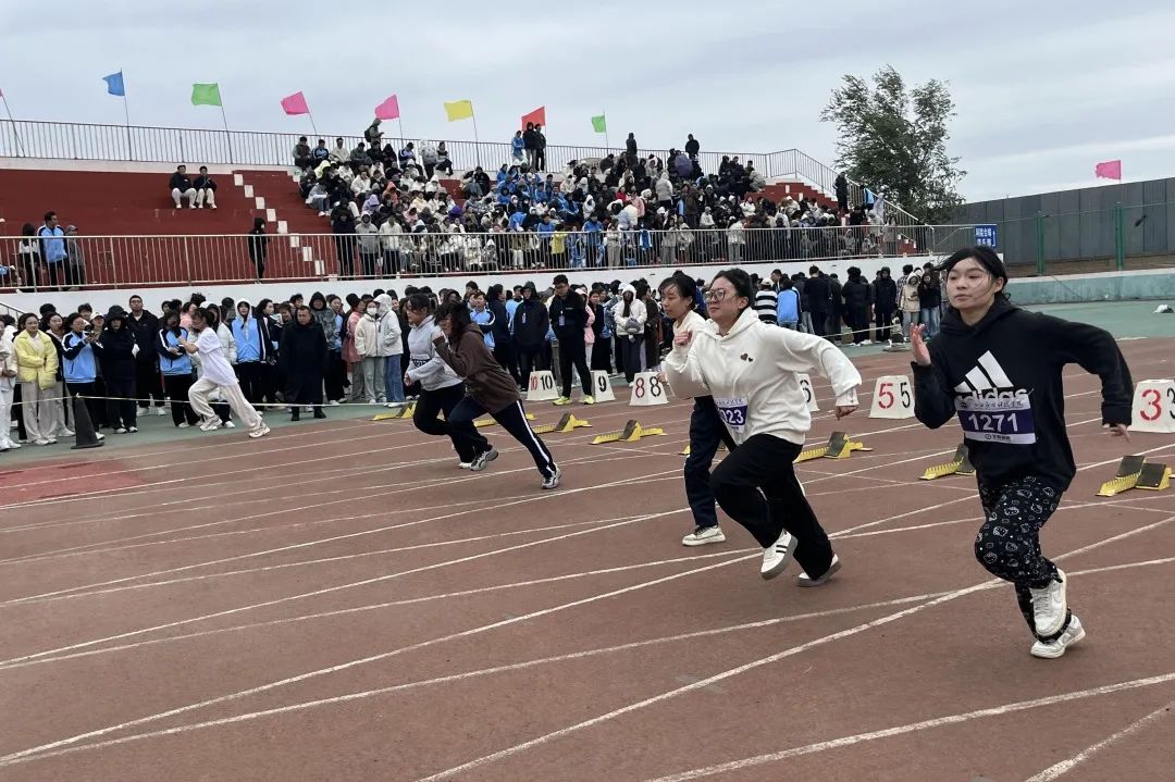 微信图片_20241022223209
