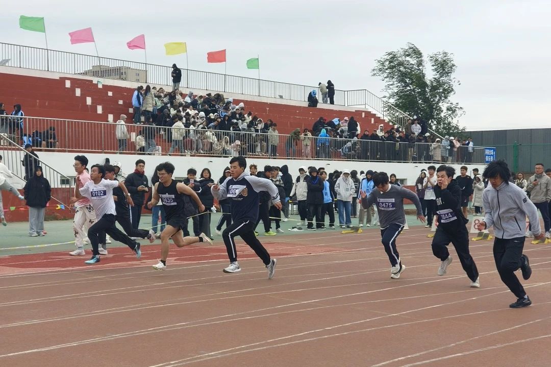 微信图片_20241027150203
