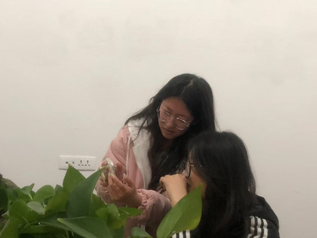 微信图片_20241104171800