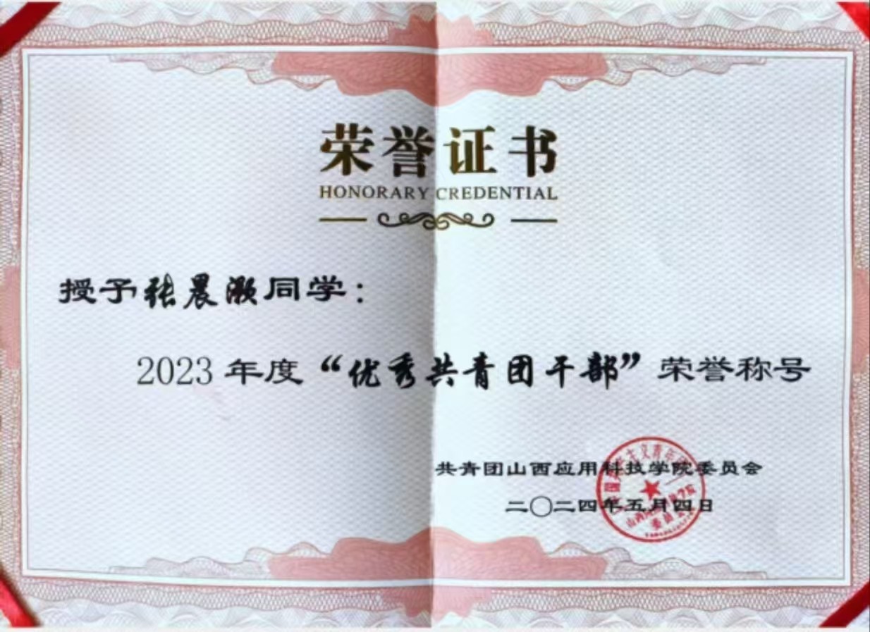 张晨灏 优秀团干部