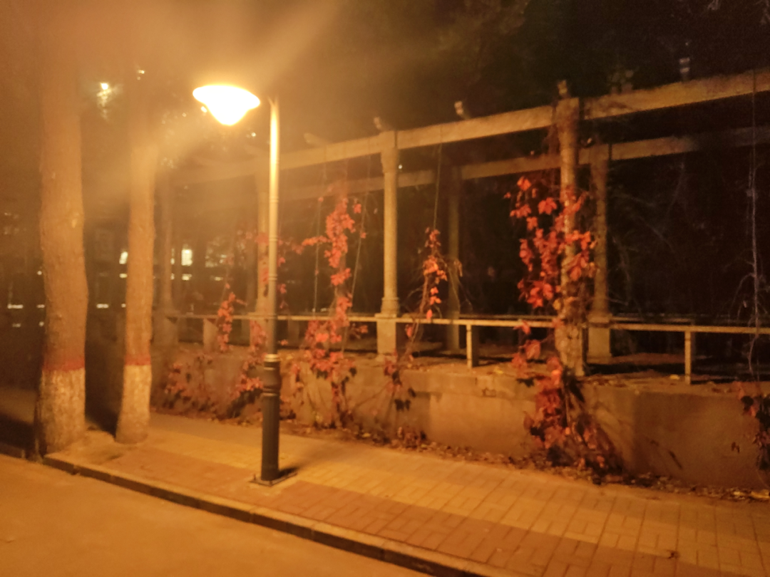 微信图片_20250211001712