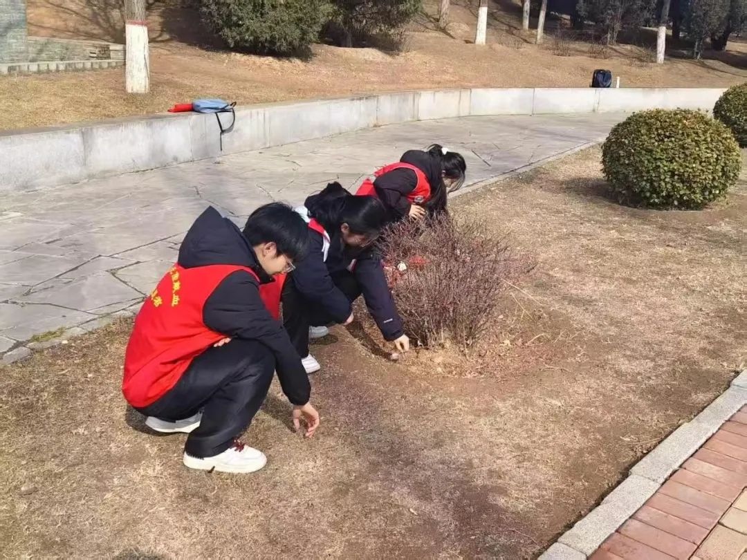 微信图片_20250324115138