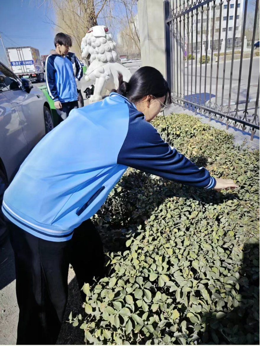 微信图片_20250324154734