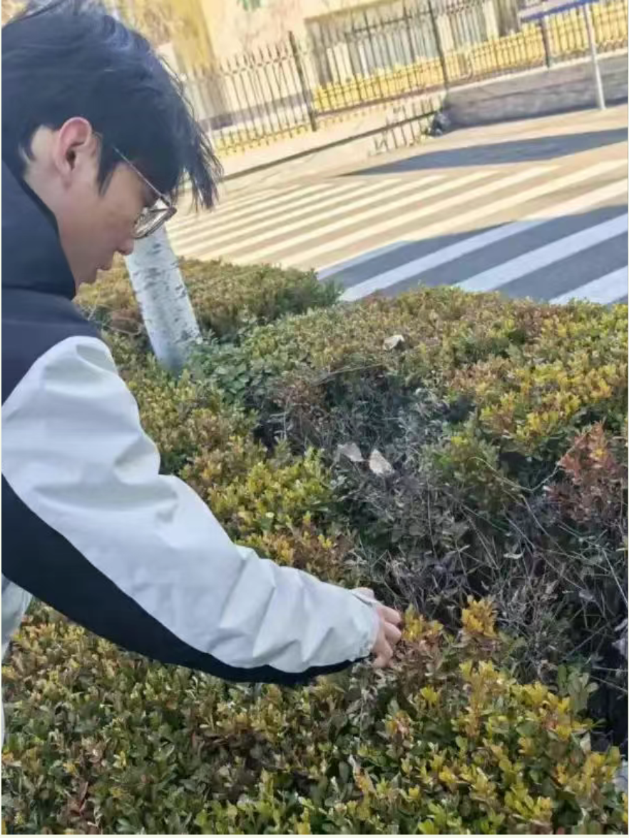 微信图片_20250324154744