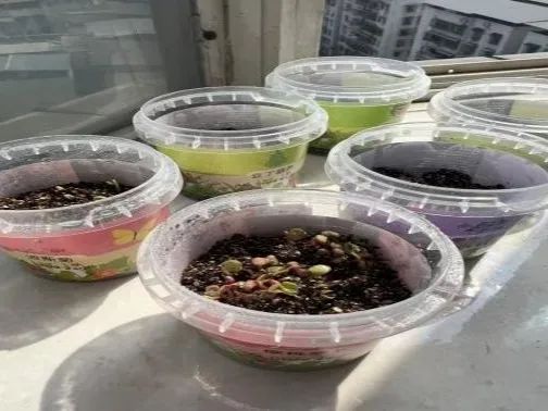 微信图片_20250420210738