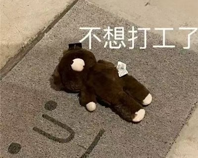 微信图片_20250503134445