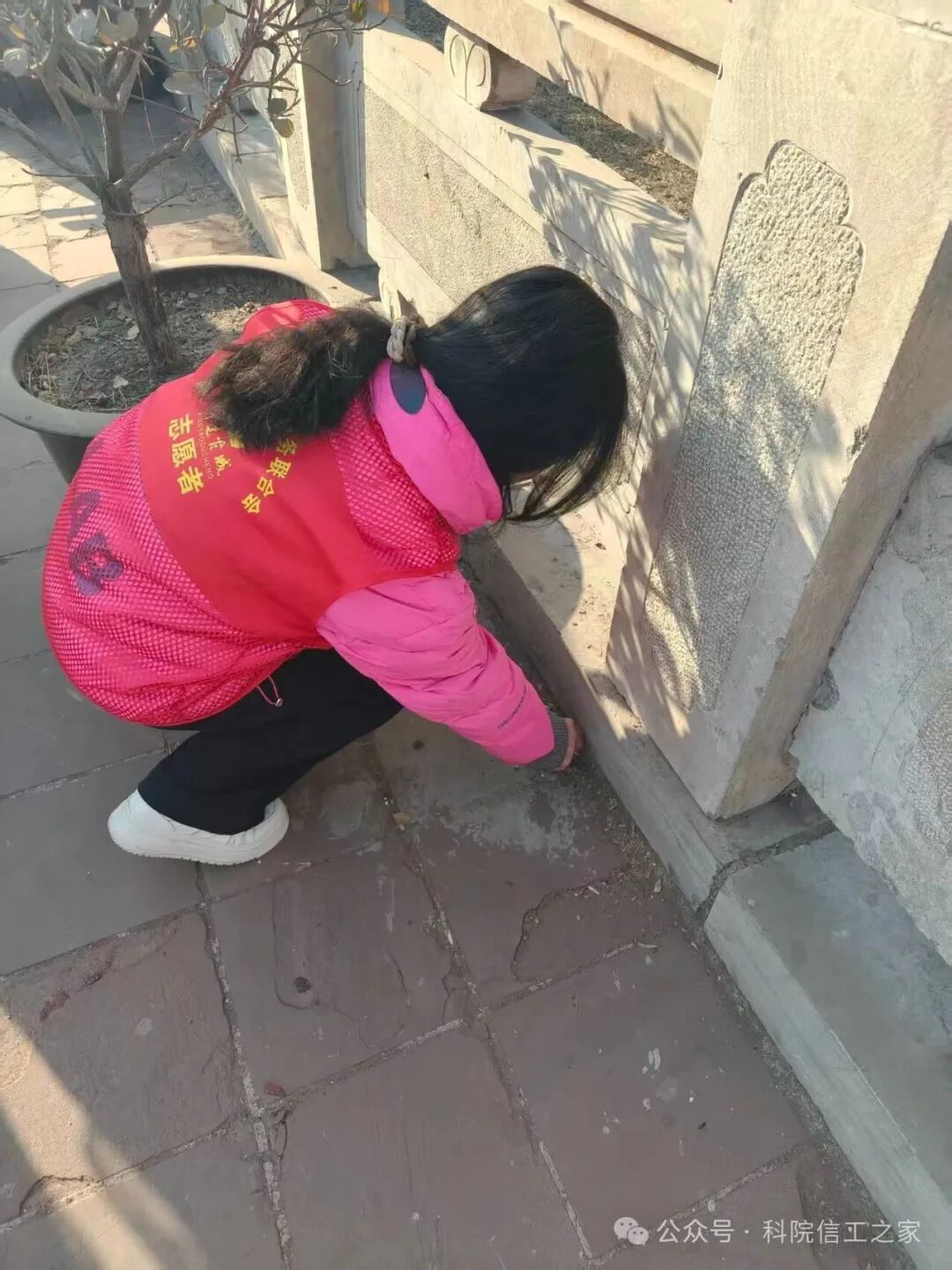 微信图片_2026-03-16_185951_015 微信图片_2026-03-16_185951_015