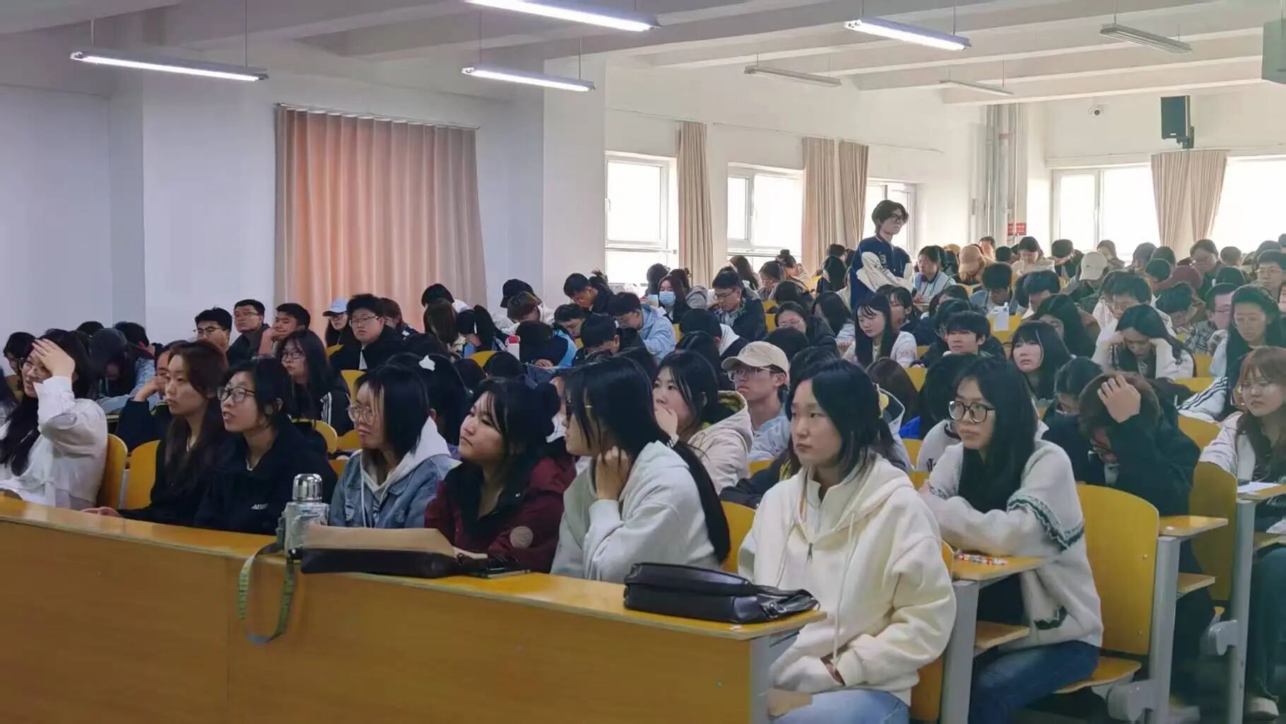 c461bfeab5a2547f253a132a89b5dcc4