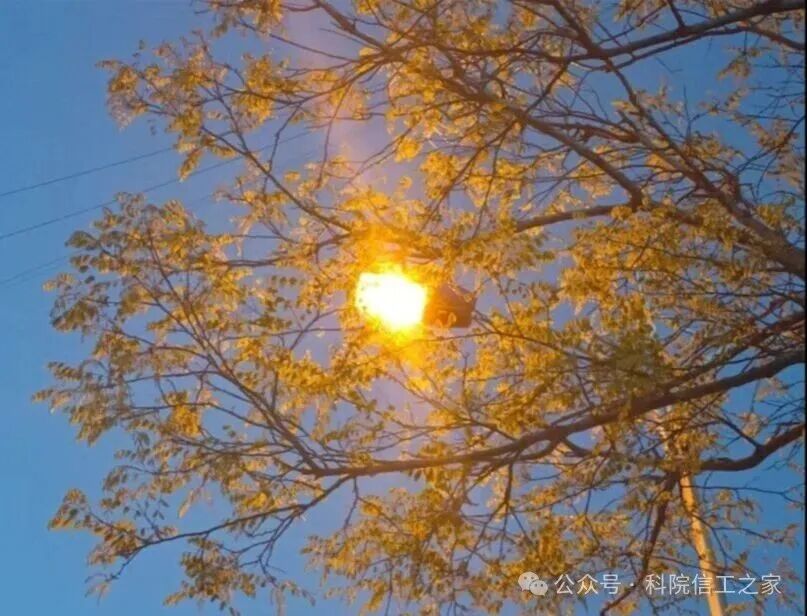 微信图片_2026-04-10_211105_511