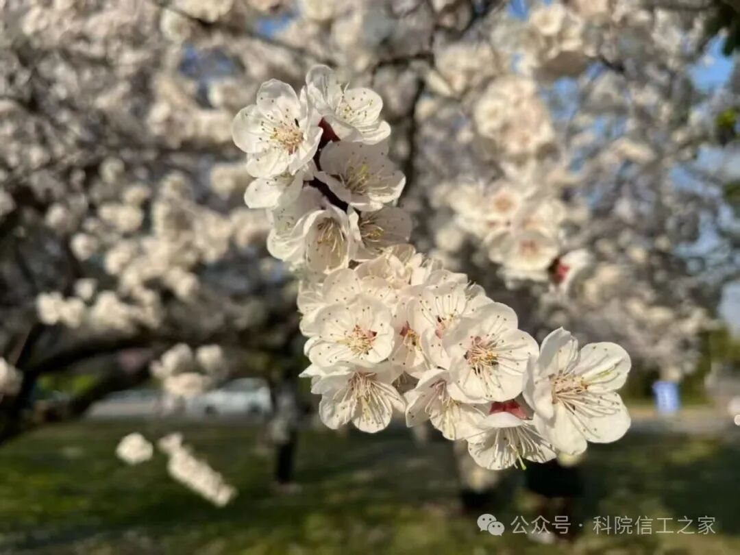 微信图片_2026-04-10_211129_434