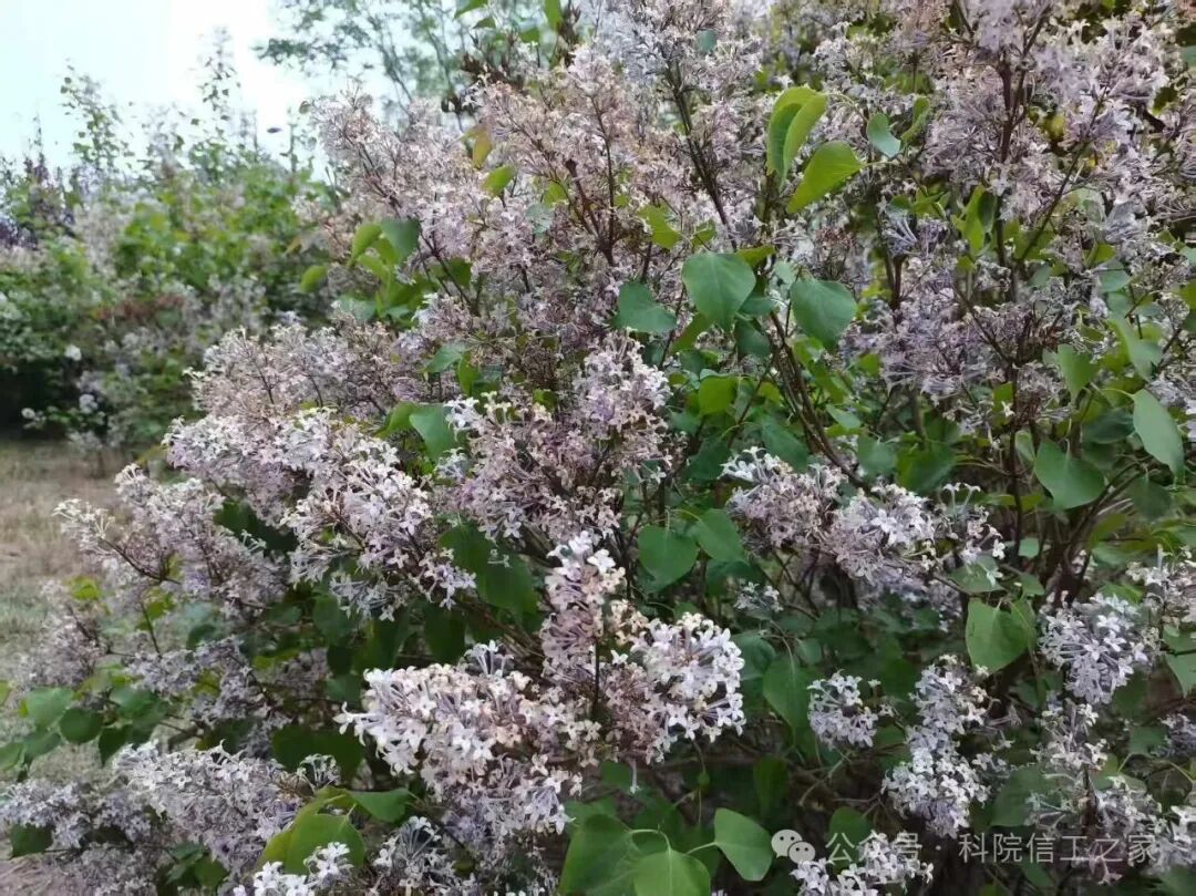 微信图片_2026-04-10_211134_872