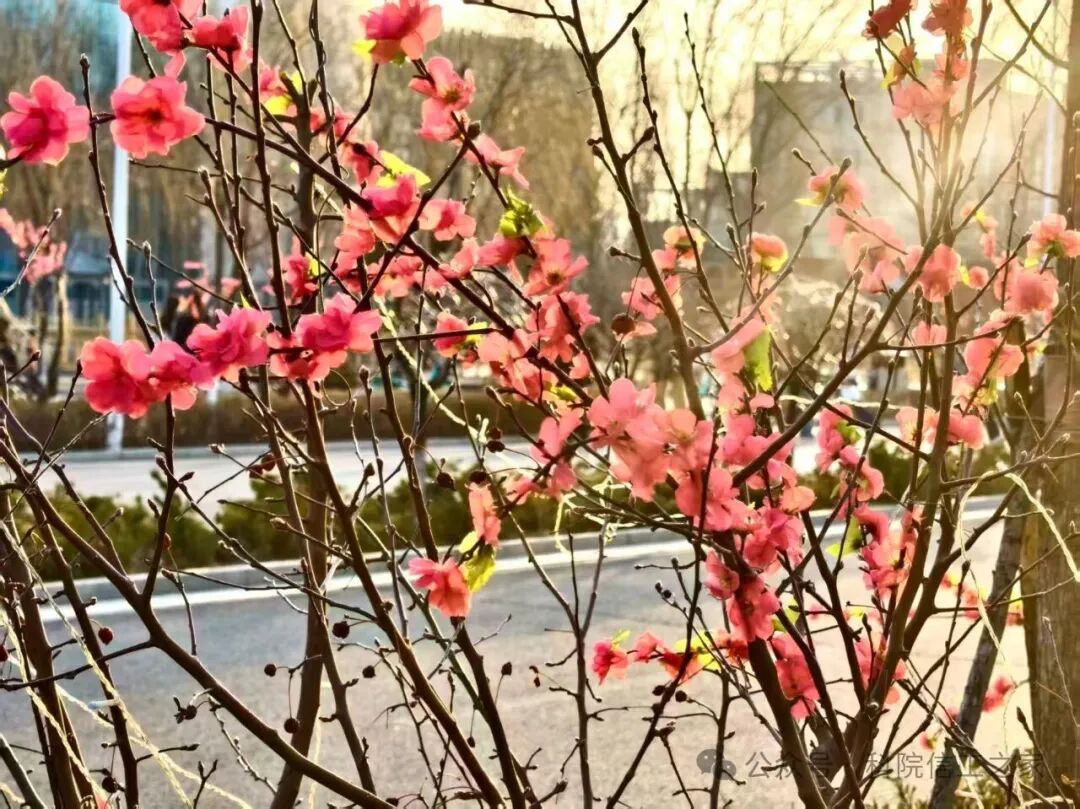 微信图片_2026-04-10_211138_674