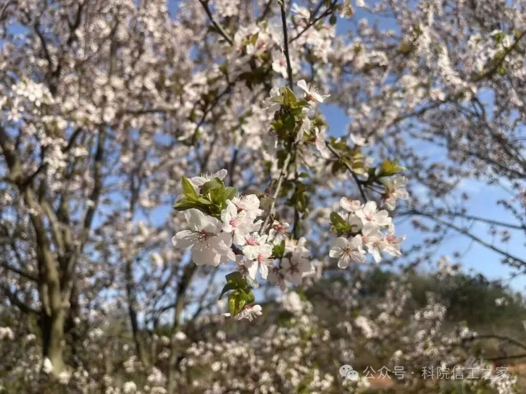 微信图片_2026-04-10_211142_360