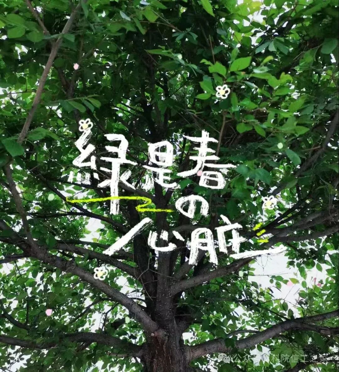 微信图片_2026-04-10_211217_427